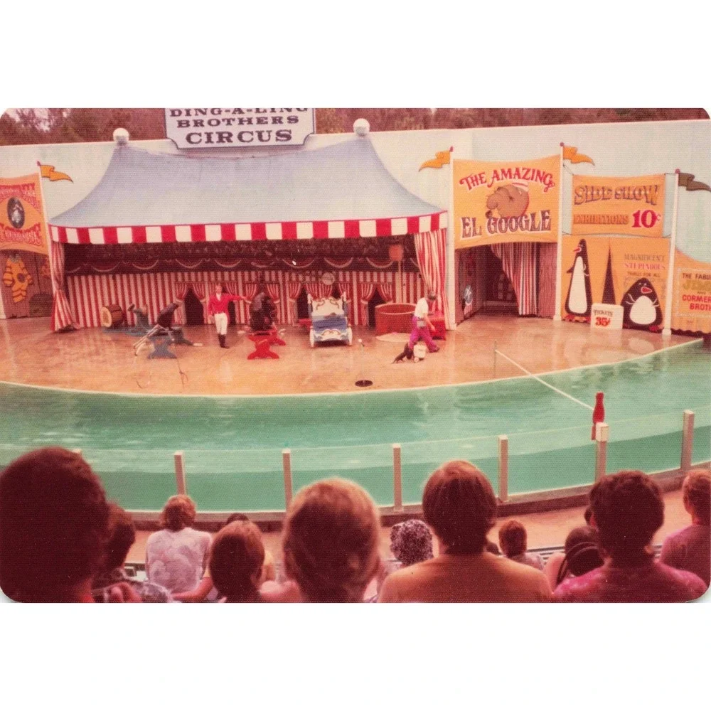 Vintage 1970s Ding-A-Ling Brothers Circus Sideshow Seal Act Photos Lot of 4 - Picture 1 of 4